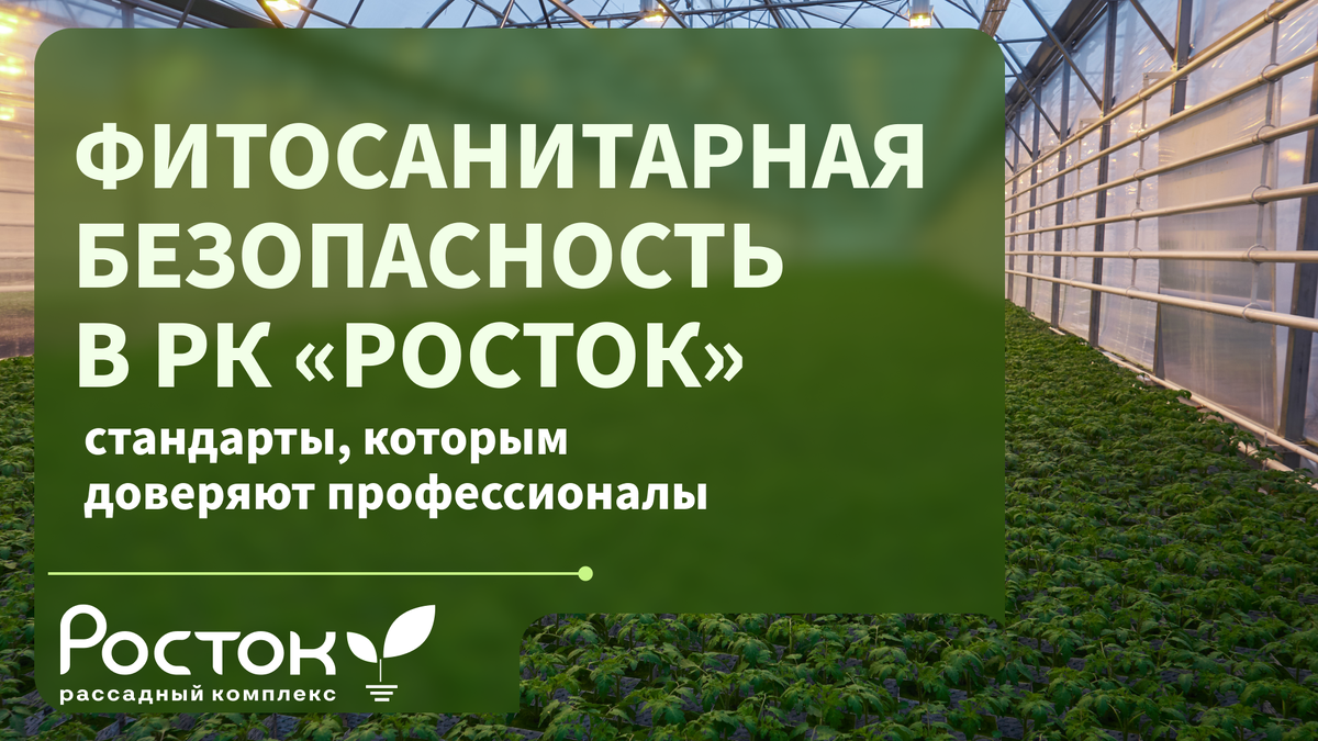 Фитосанитарная безопасность в РК «Росток»: стандарты, которым доверяют профессионалы
