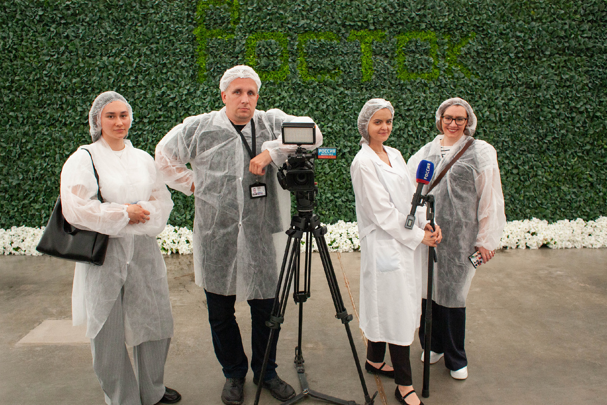 Росток, система, выстроенная до мелочей