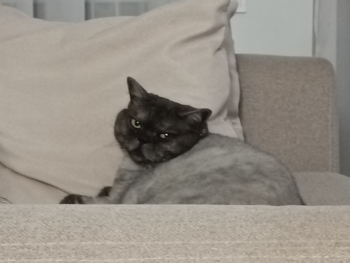 И смотрит строго так, как будто мы её не слушаемся🤦‍♀️