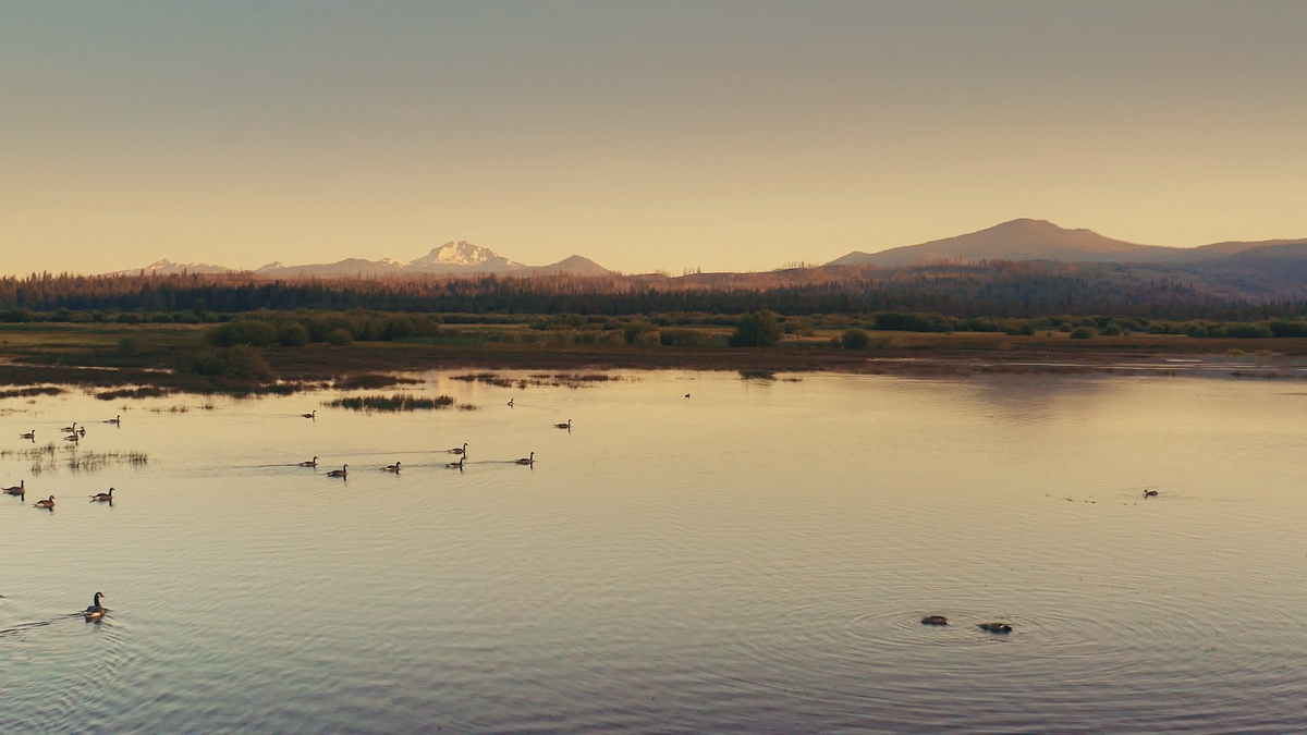 Кадр из фильма Замуж или смерть (2025)