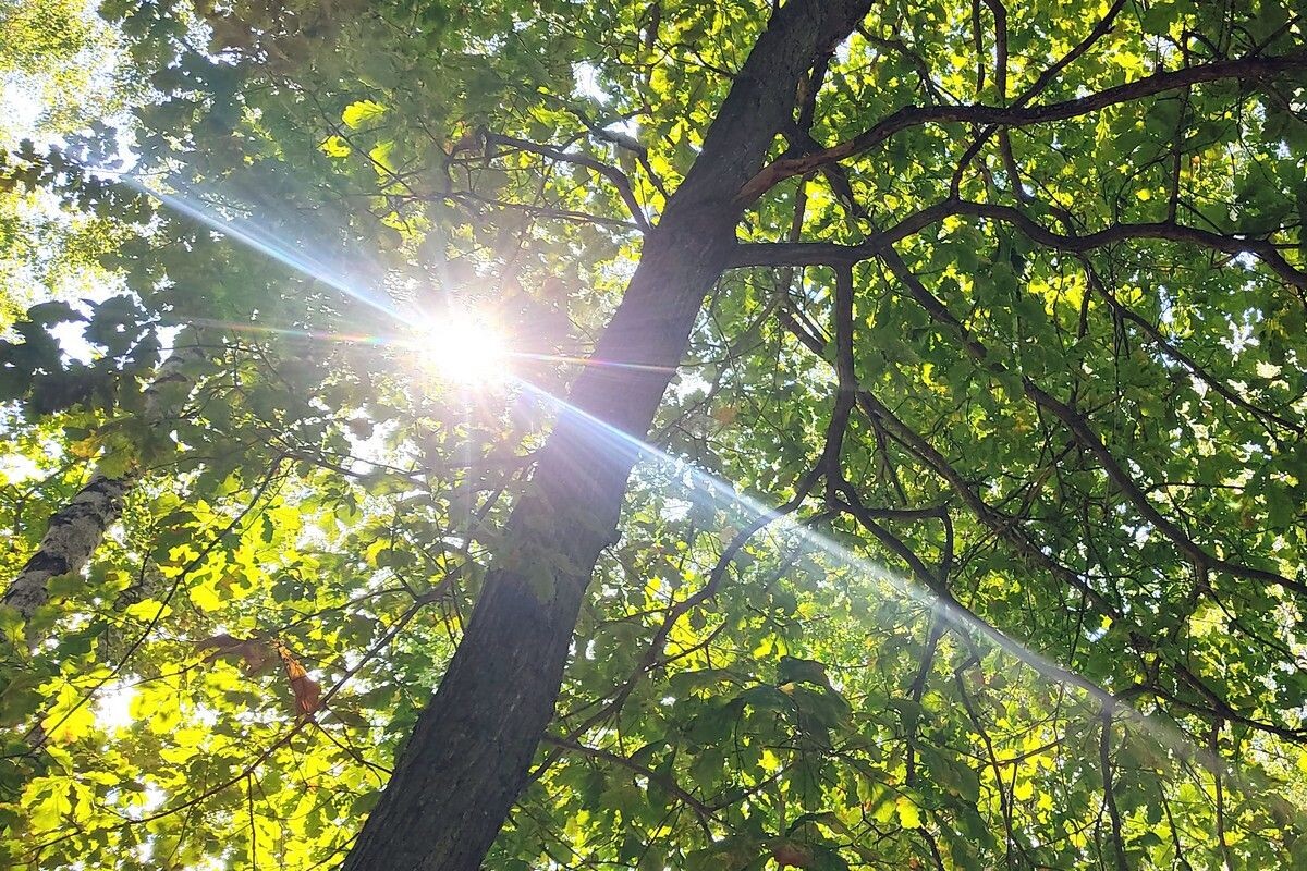 Фото: ИА «Регион 71»