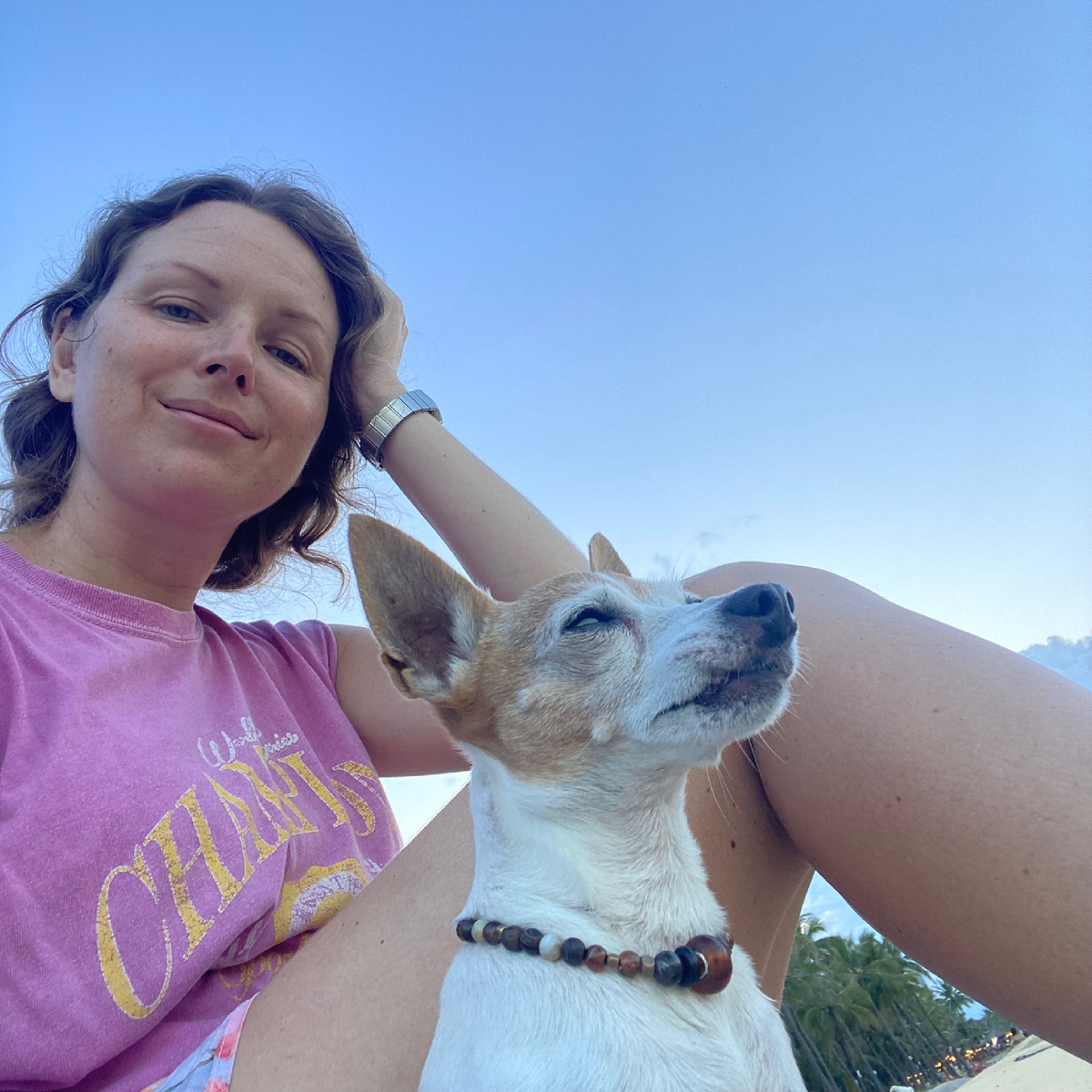 Это пес друзей, за которым мы присматриваем пару месяцев 