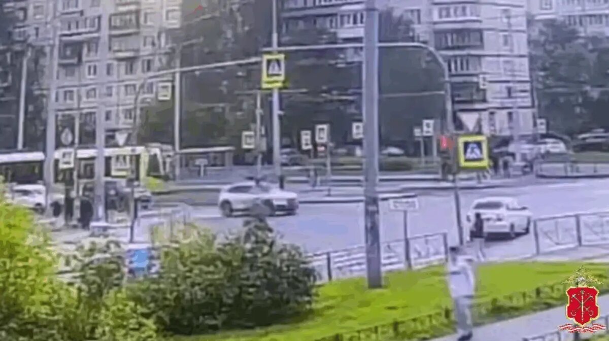   Фото: стоп-кадр видео от пресс-службы ГУ МВД России по Петербургу и Ленобласти