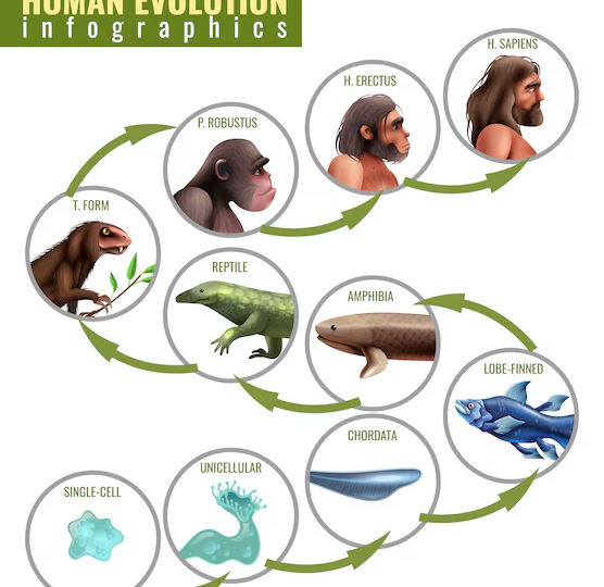 🔬 Что такое эволюция и почему она касается каждого из нас