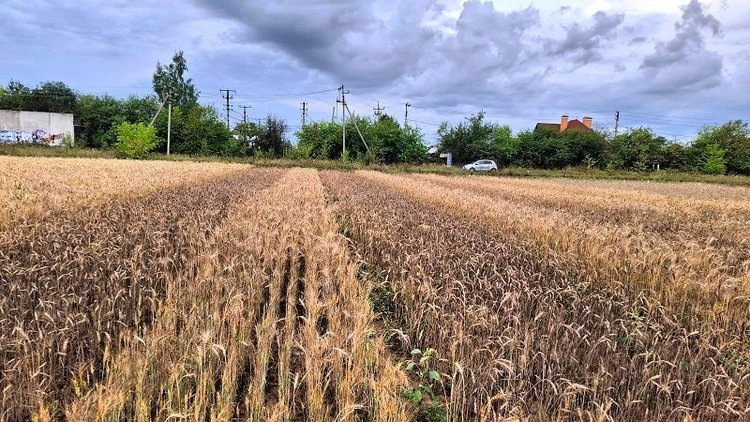    Фото: Иркутский ГАУ