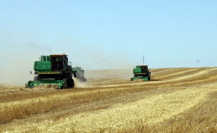 Фото:. Сельское хозяйство. АПК. Уборка урожая. Сельхозтехника / Екатерина Смолихина / amic.ru