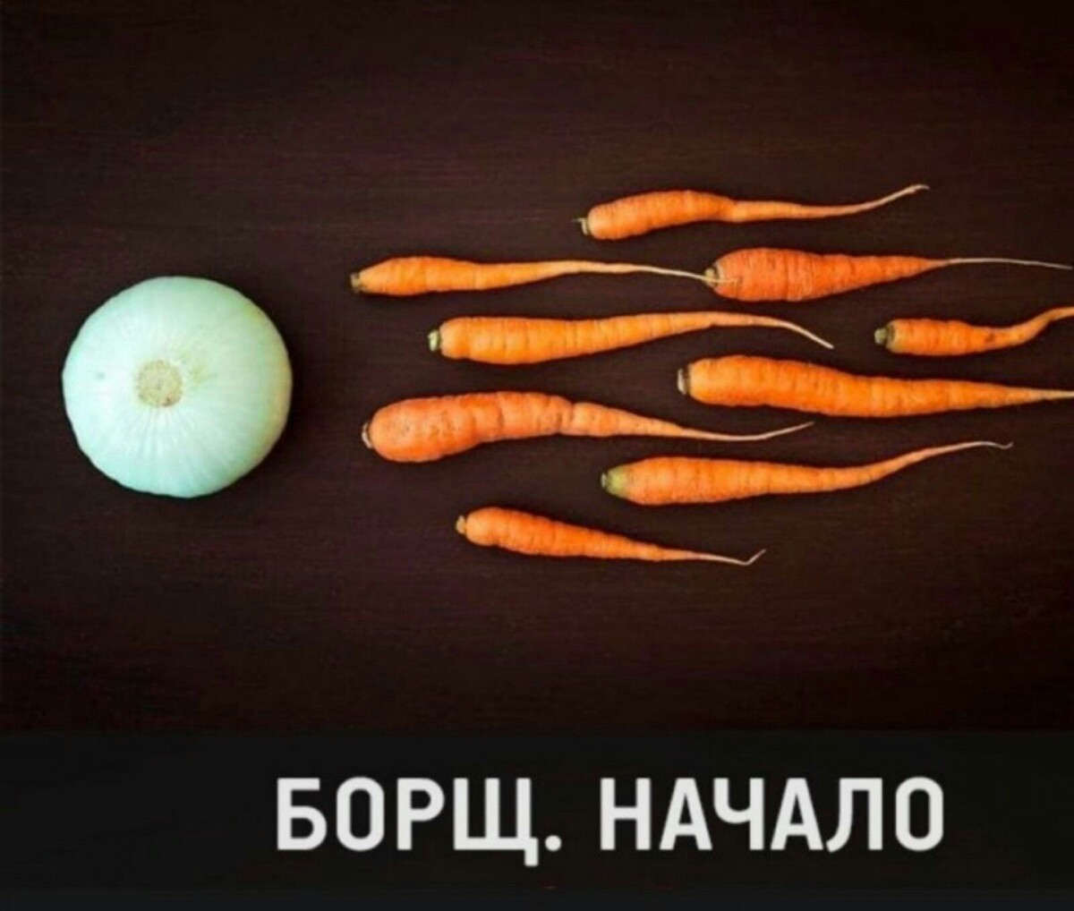 Иллюстрация из свободного доступа. 