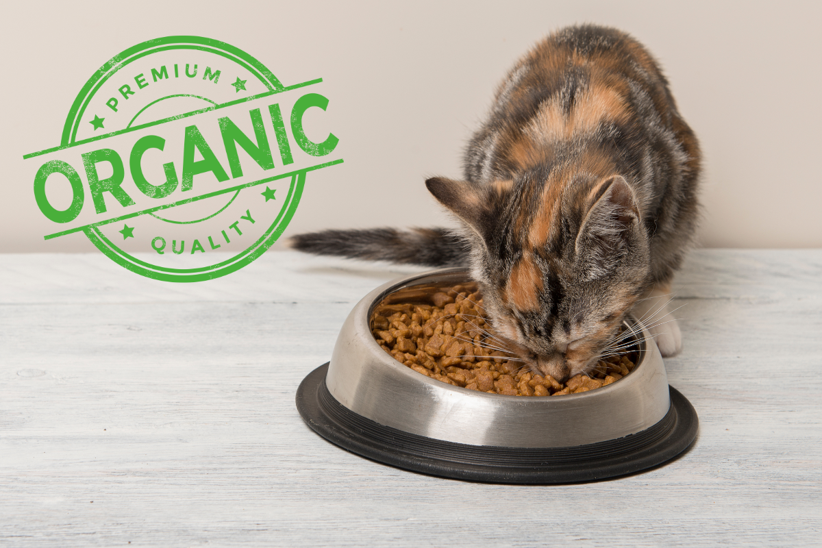 Органический корм для кошек