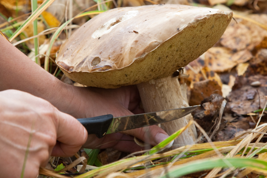    Сергей Булкин/NEWS.ru