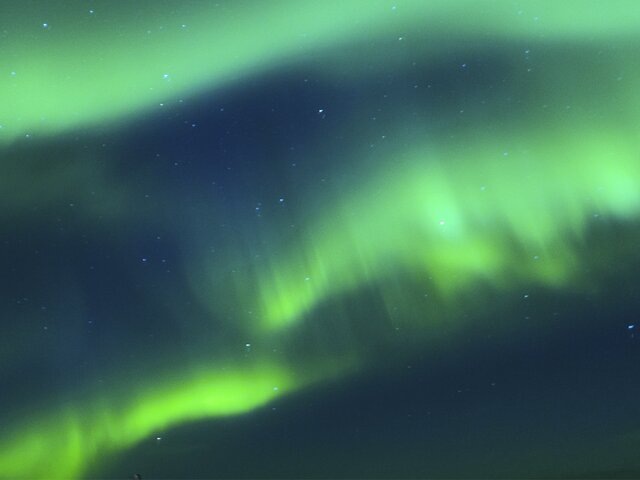    Фото: 123RF/danmorgan12