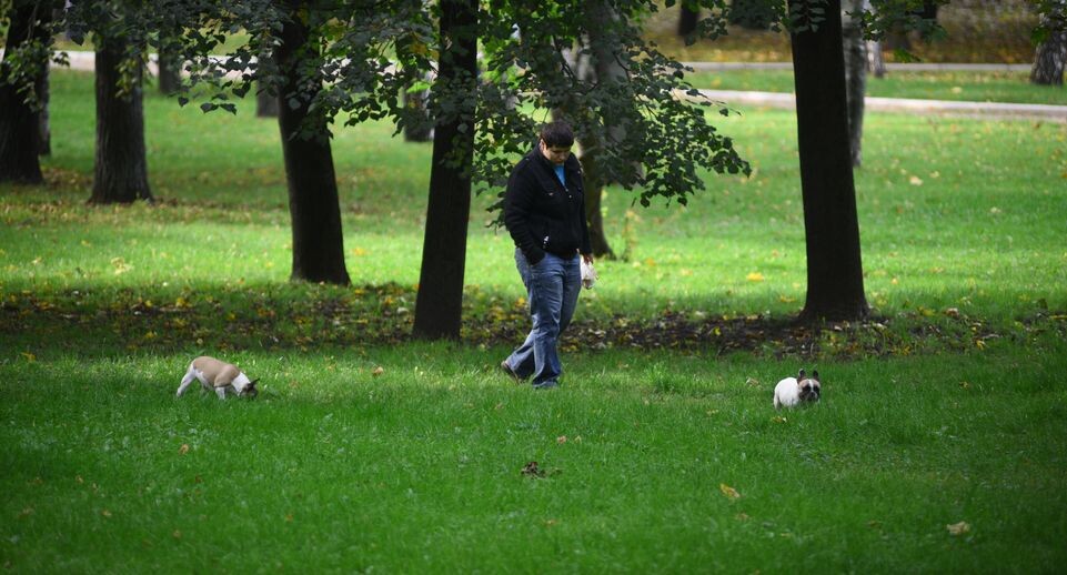    Медиасток.рф