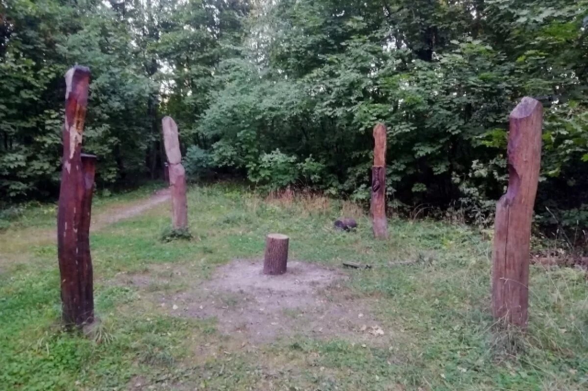    Вандалы уничтожили скульптуры на «Поляне предков» в Воронеже