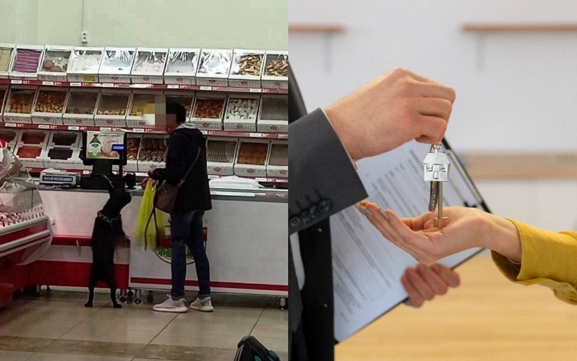    Перекрытый центр города, бесполезные риелторы и питомцы в магазинах: что обсуждают ижевчане в соцсетях 15 сентября