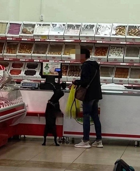  Фото: vk.com/dpizh