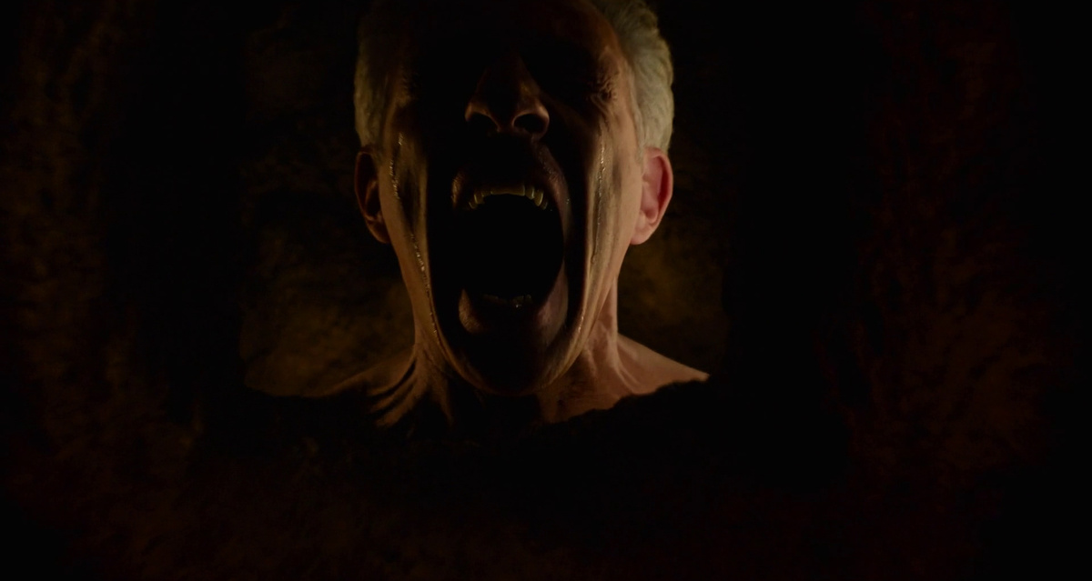 The Shrouds (2024), реж. Дэвид Кроненберг