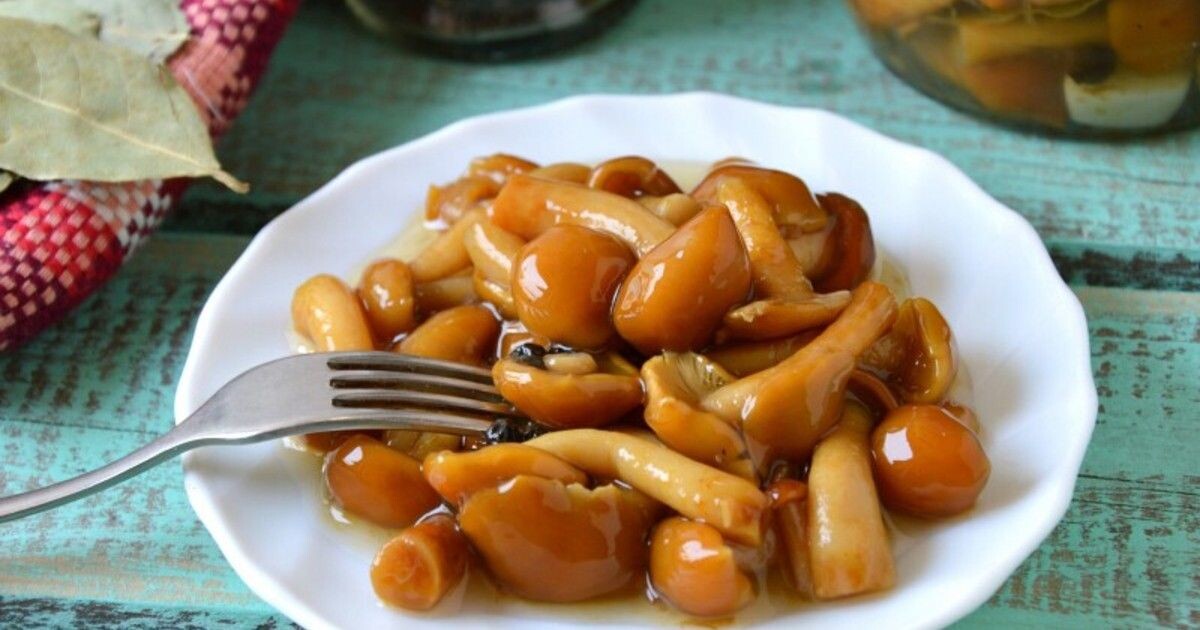 Рецепт маринованных опят
