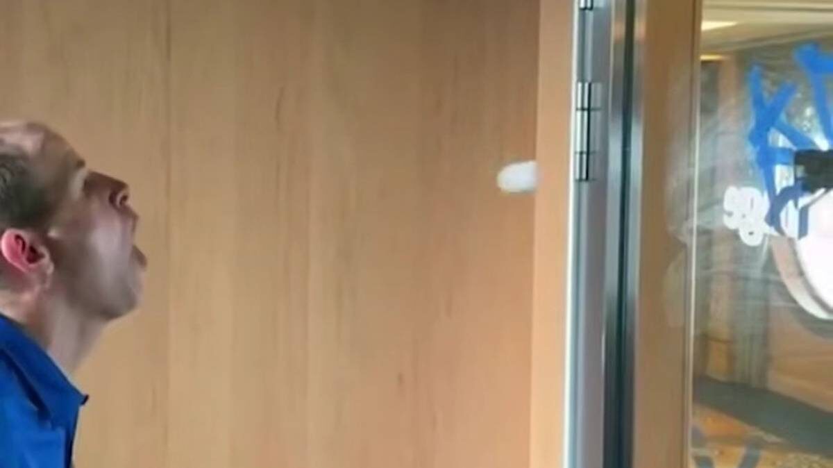    Фото: Telegram / Mash на спорте