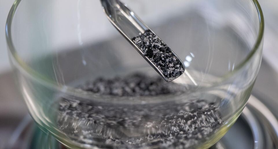    Hendrik Schmidt/dpa / www.globallookpress.com