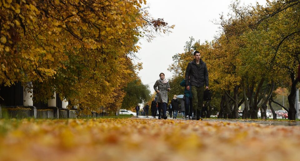    Медиасток.рф