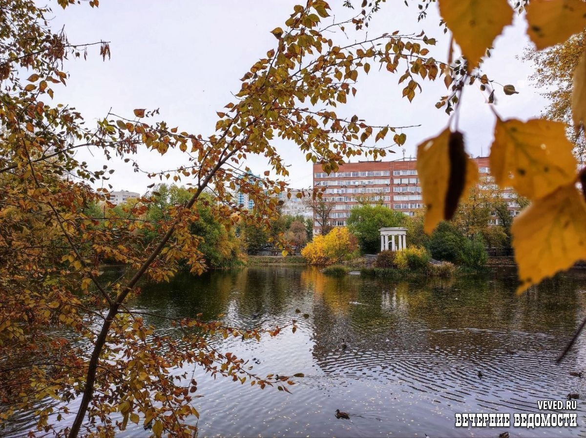     Фото: Ольга Кольтенберг / Вечерние ведомости