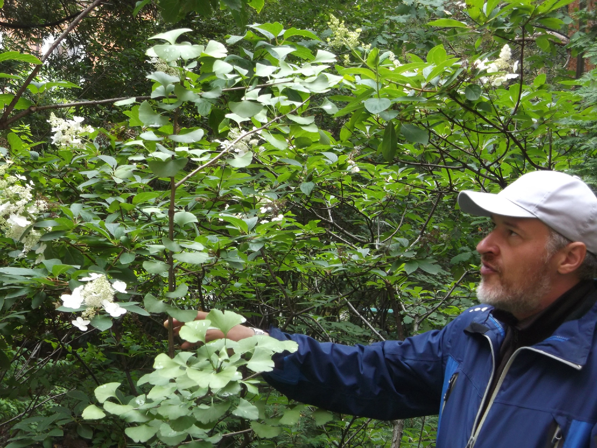 Павел Попков, научный сотрудник ботанического сада ЧелГУ