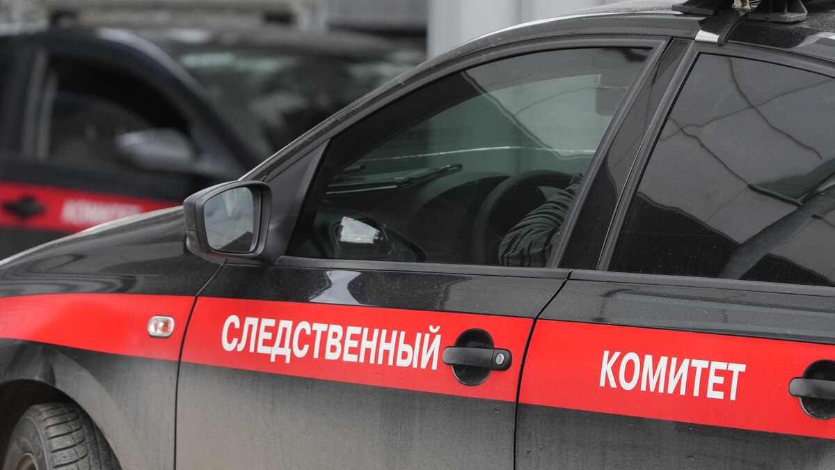 Фото: ИЗВЕСТИЯ/Дмитрий Коротаев