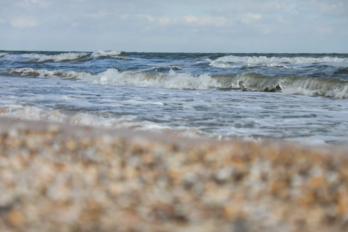    Фото: ТРК «Таврия»