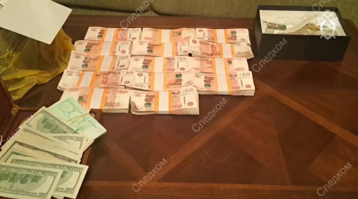    Фото: кадр видео СК РФ