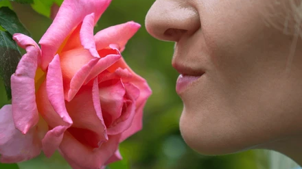 Фото Shutterstock