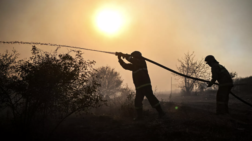   РИА Новости