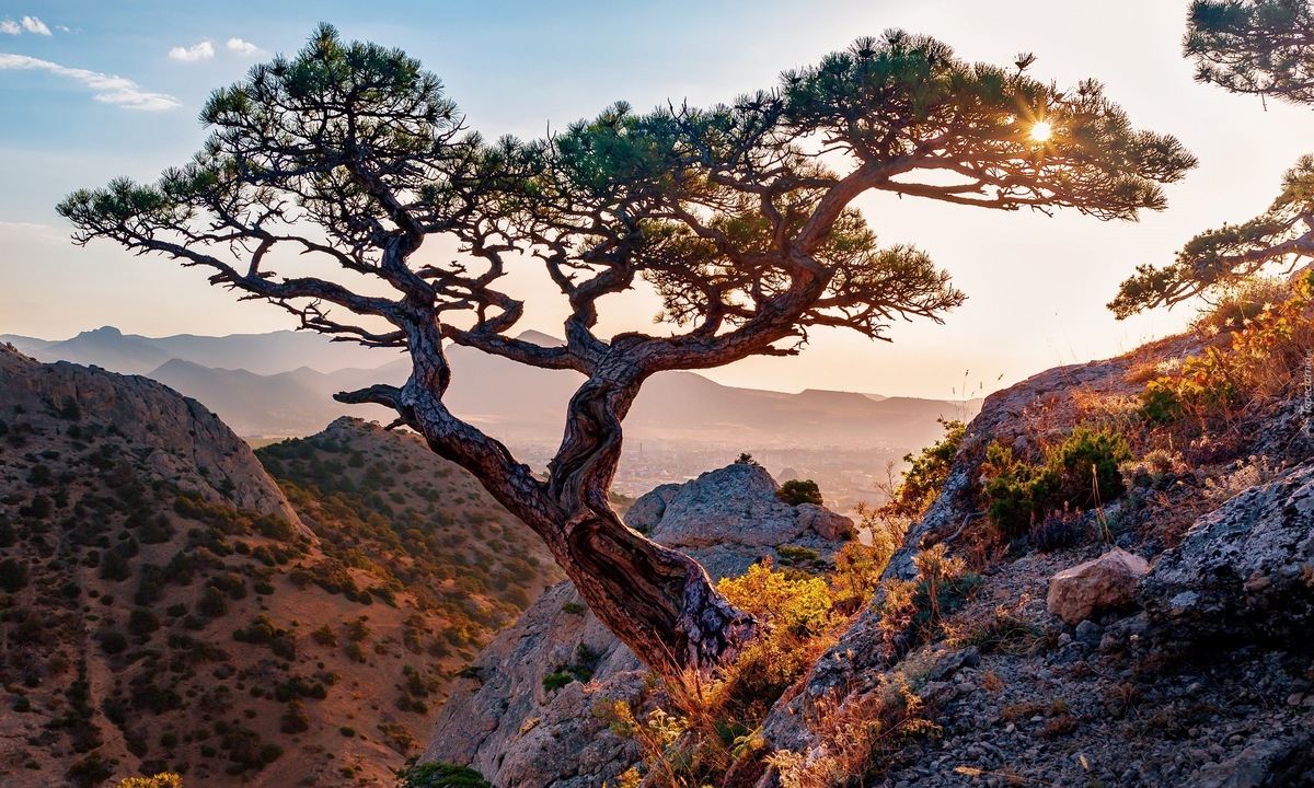 Картинка найдена на просторах интернета, ссылка https://yandex.ru/images/search?from=tabbar&img_url=https%3A%2F%2Fi.pinimg.com%2Foriginals%2Fa8%2F34%2F3f%2Fa8343f817879b5e7bd53274cf0591a19.jpg&lr=47&pos=15&rpt=simage&text=%D1%86%D0%B2%D0%B5%D1%82%D1%8B%20%D0%BA%D1%80%D1%83%D0%BF%D0%BD%D0%BE%20%D1%84%D0%BE%D1%82%D0%BE