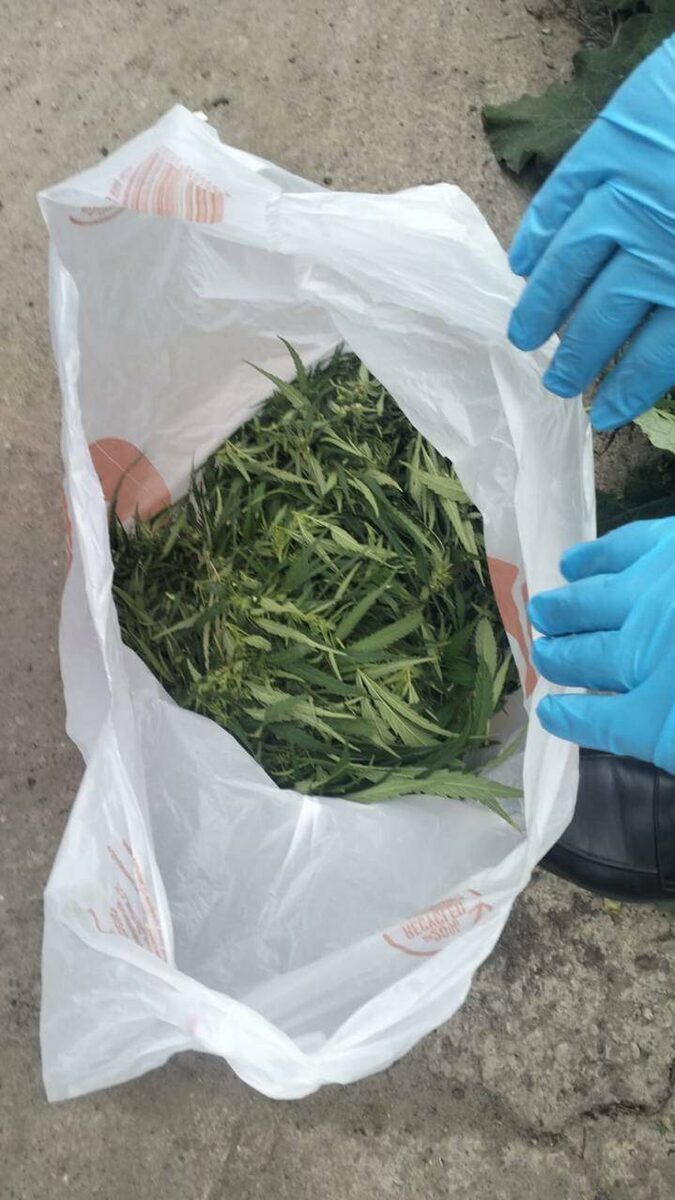 Фото: УМВД России по Казани