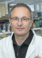 Дени Фёрлинг