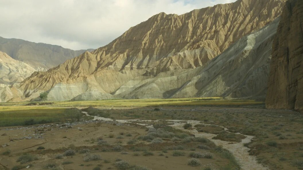    hutchison/Globallookpress