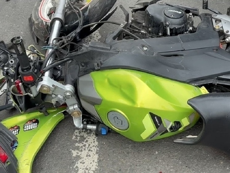     Фото: полиция Курской области (архив)