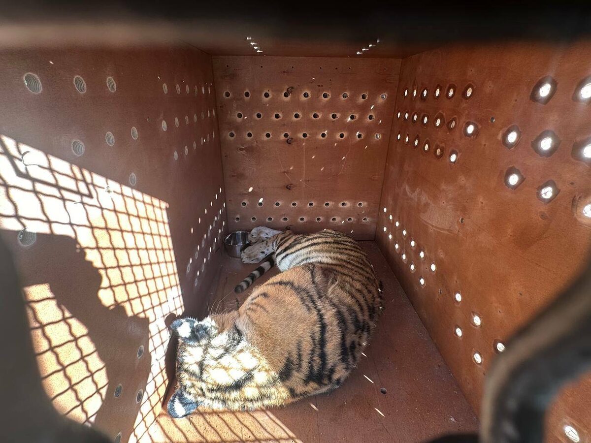 Фото: пресс-служба Казанского зооботсада