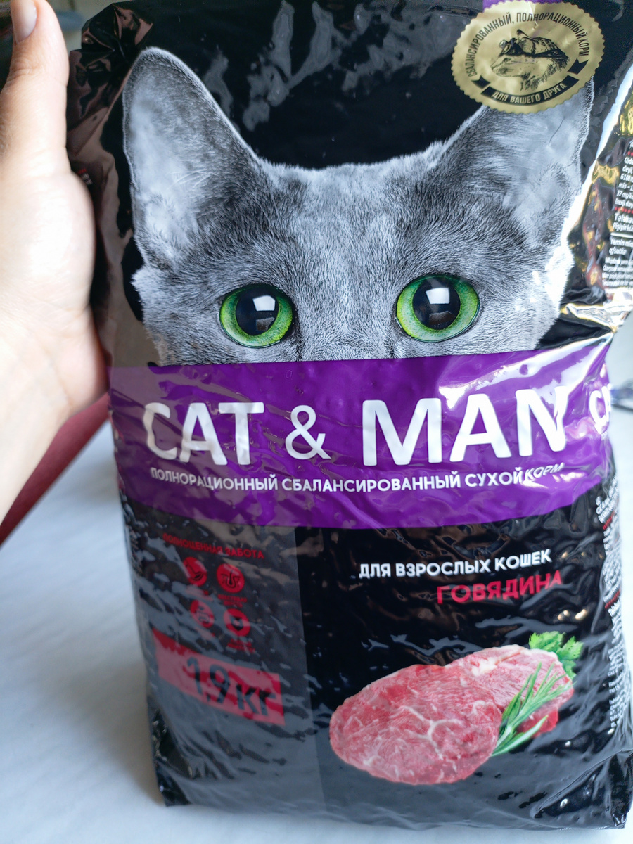 Фото сделано автором канала