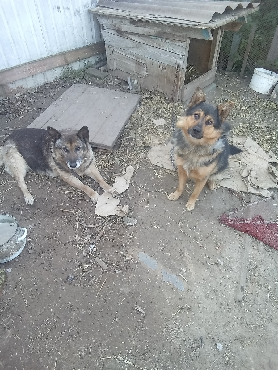 Фото автора. 