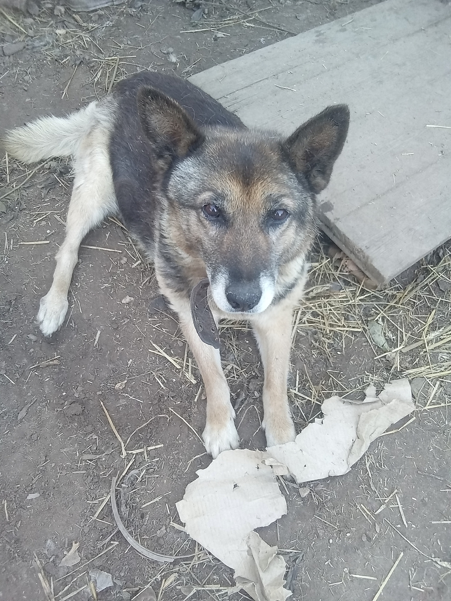 Фото автора. 