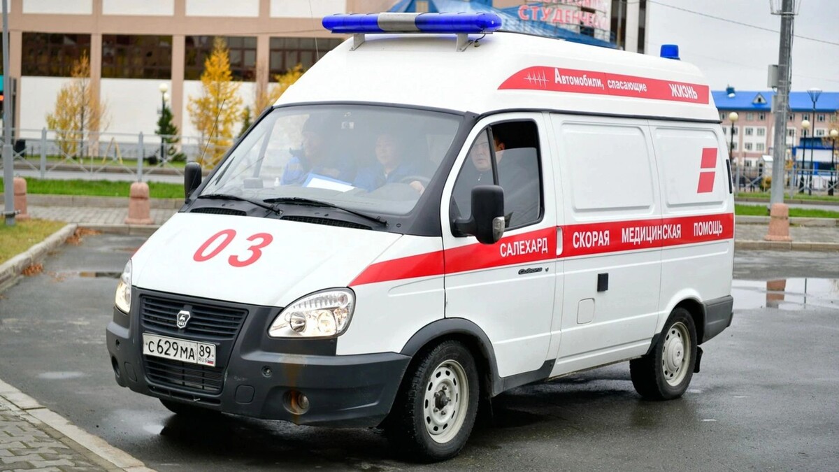    Фото: Андрей Ткачев / АНО «Ямал-Медиа»