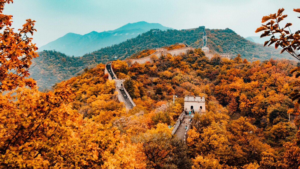    Фото: unsplash.com