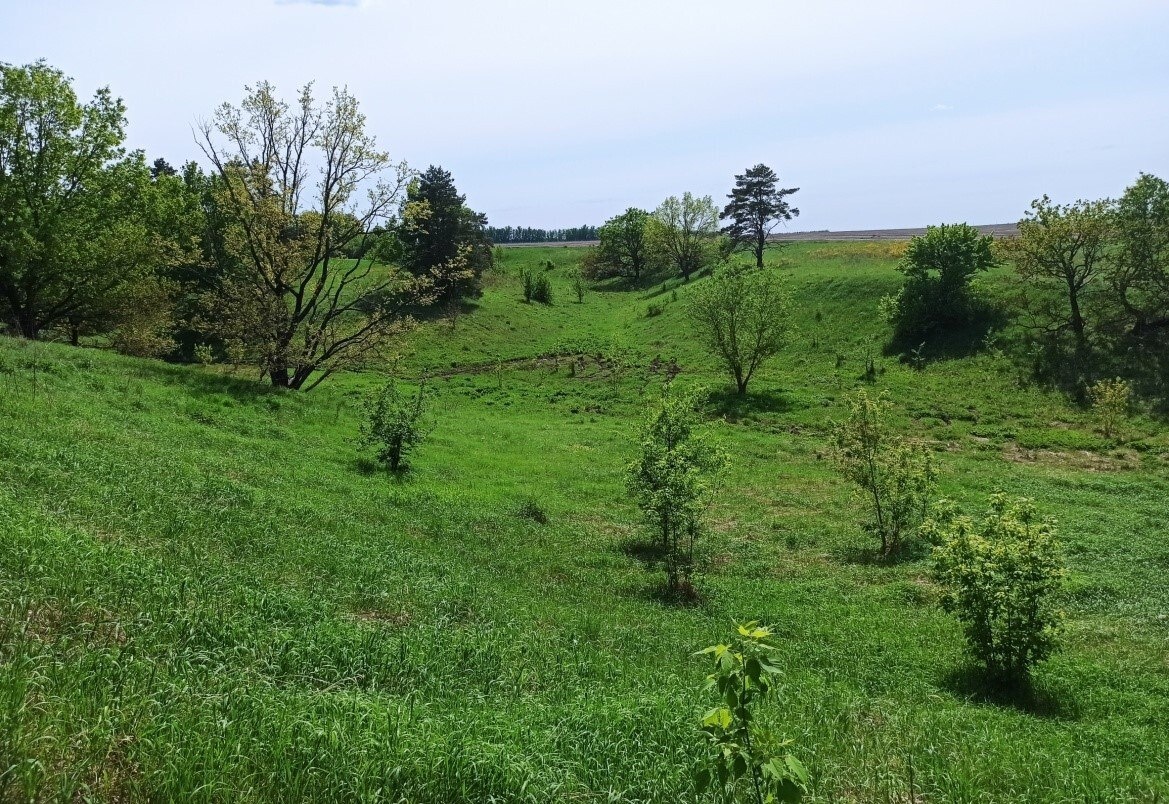 Фото: Минприроды Курской области