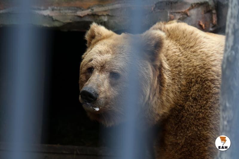    Архивное фото ЕАН