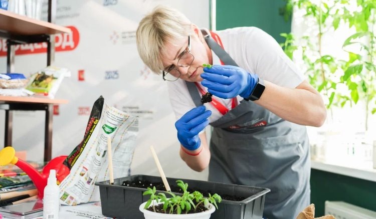    Фото: Правительство Вологодской области