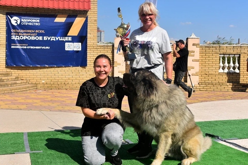    В Донецке впервые с 2014 года провели выставку собак. Фото: ЕР ДНР