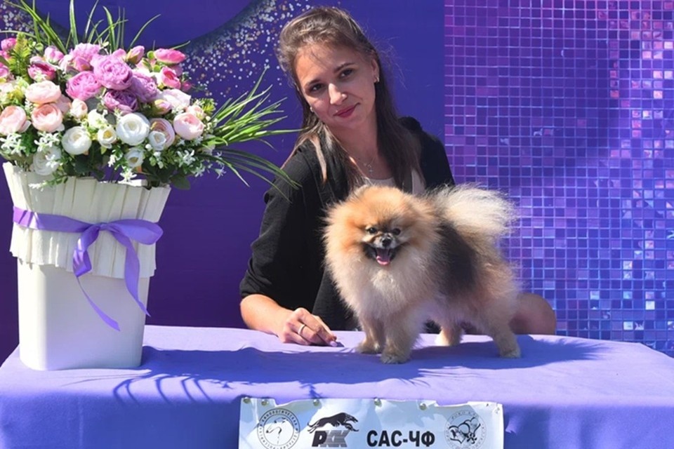    В Донецке впервые с 2014 года провели выставку собак. Фото: ЕР ДНР