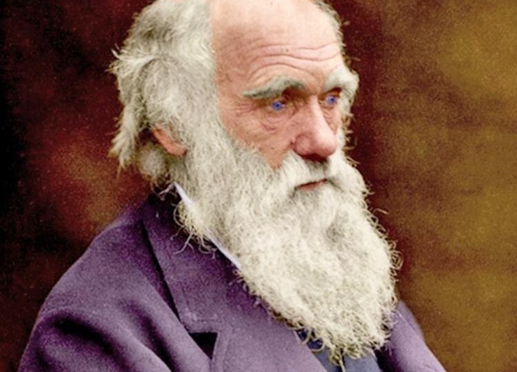 Чарльз Дарвин, Эволюция и Бог: Конфликт или Симбиоз?