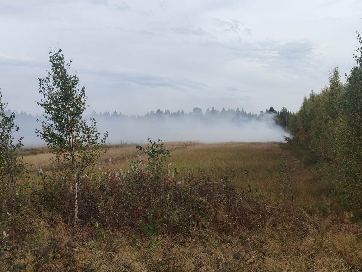    Фото: "Телеграм"-канал Государственного комитета Республики Карелия по обеспечению жизнедеятельности и безопасности населения