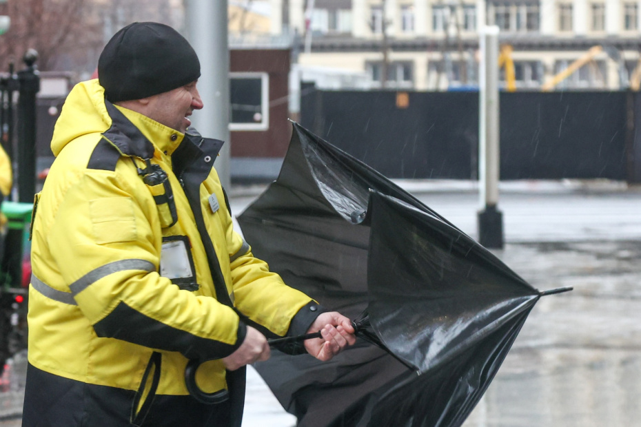    Наталья Шатохина/NEWS.ru