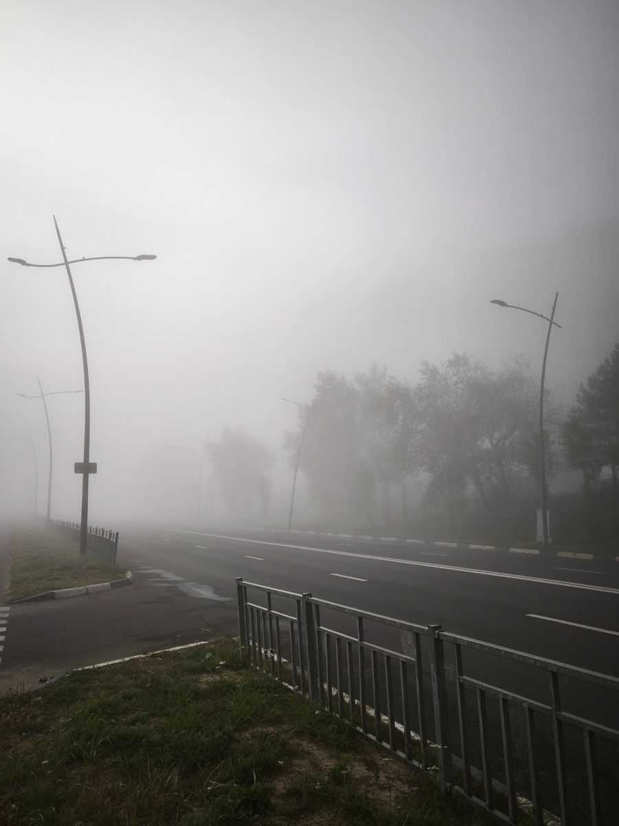 За деревьями высотки - их почти не видно